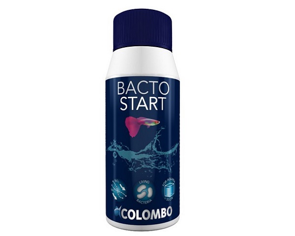 Colombo Bacto Start 250 ml